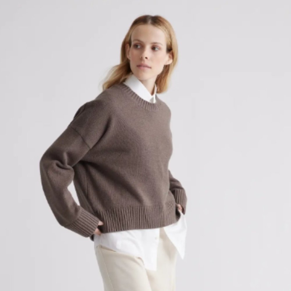 Organic 100% Cotton Sweater ~no dog,~ Quince Boyfriend Sweater